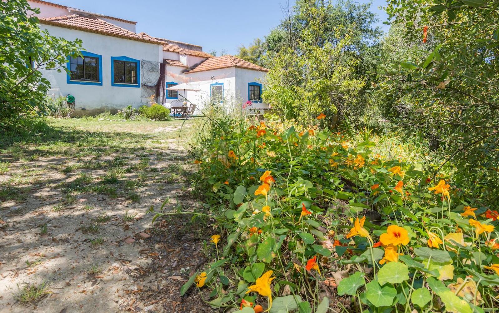 Villa Quinta De Sao Pedro Sobreda Exterior foto